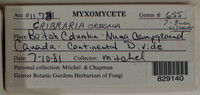 Image Associated With the Occurence